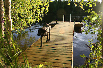 Ahti 5 m muoviponttoonilaituri, webshopProducts - 